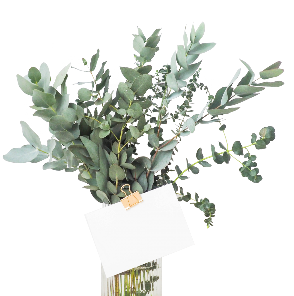 flowers-flip flowers-flip